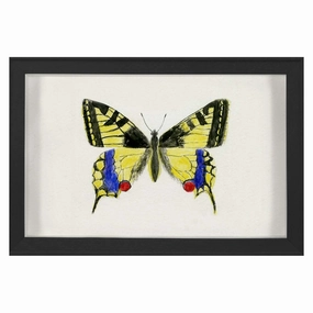 Hubbard Butterfly, Small: 583nordic style wall decor