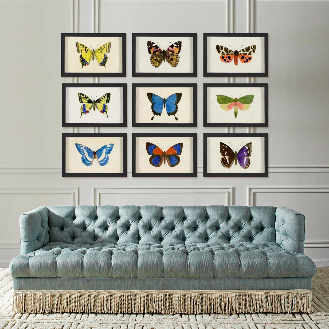 Hubbard Butterfly, Small: 583