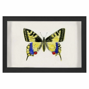 Hubbard Butterfly, Small: 583nordic style wall decor