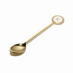 Initial Teaspoon Elegance Kboho style dinner plates for special occasions 