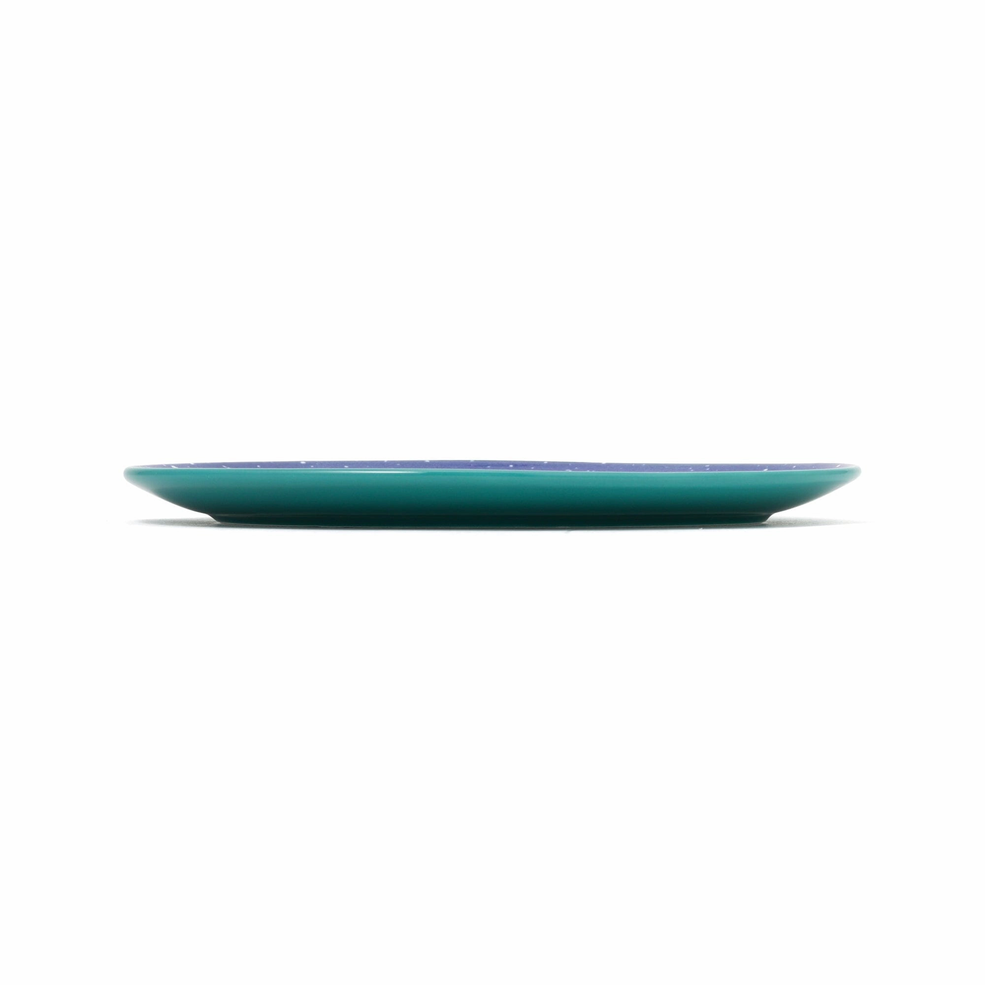 Iroiro Oval Plates Splatter