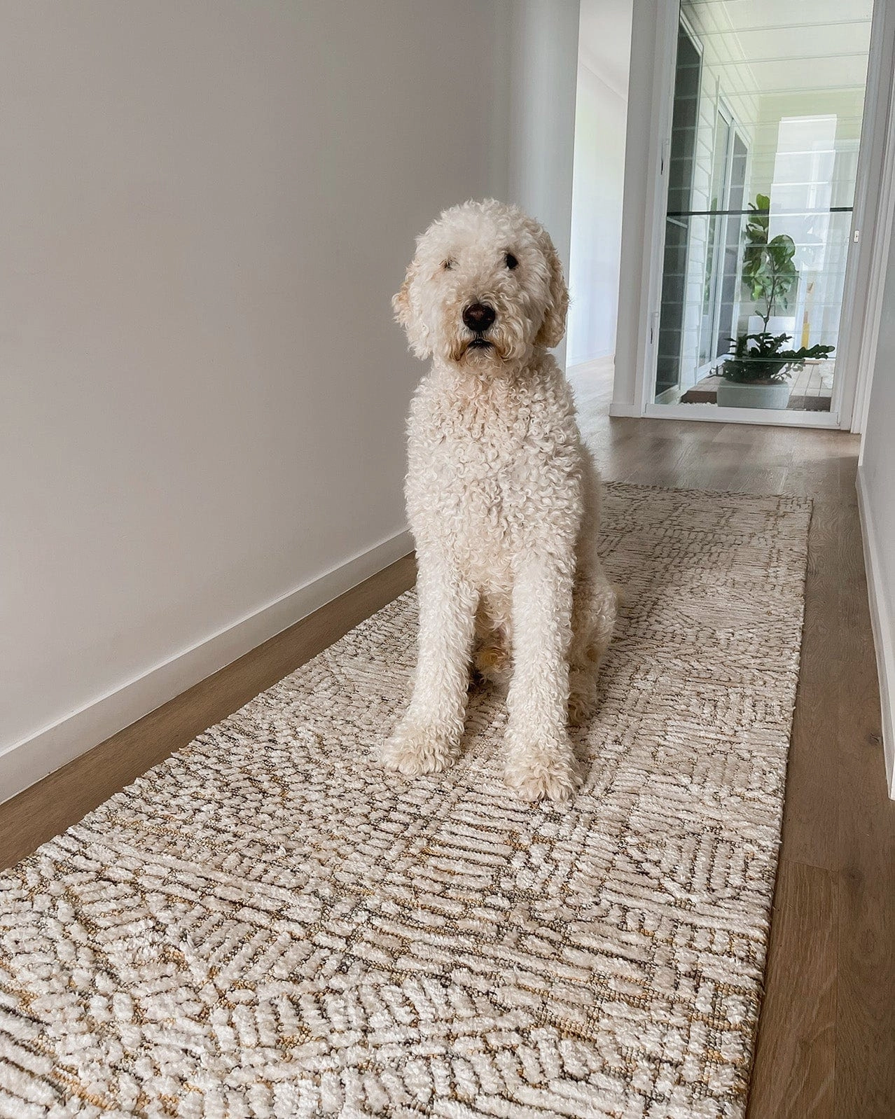 Jordan Mustard and Beige Geometric Modern Runner Rug