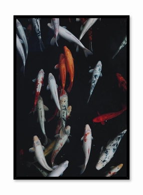 Koi Pond, Posterpop culture themed posters