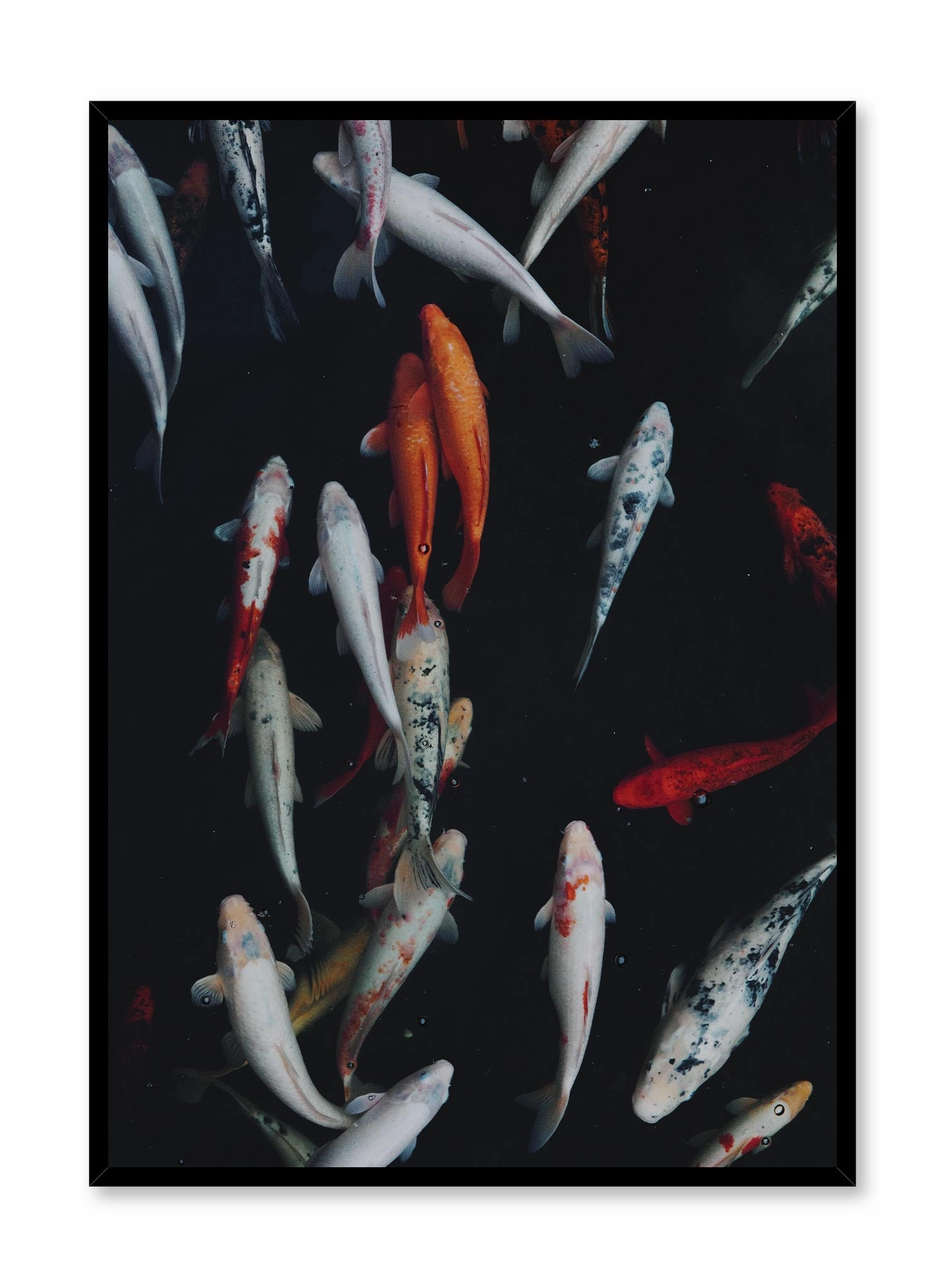 Koi Pond, Posterpop culture themed posters