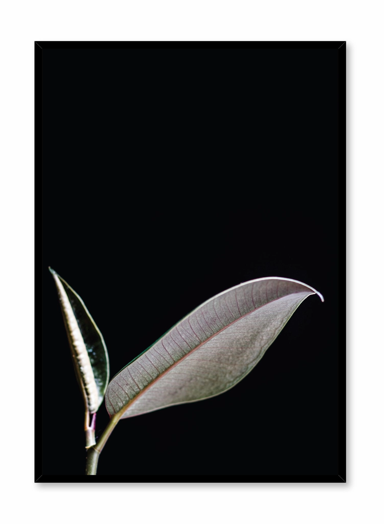Leaf, Posterpop culture themed posters