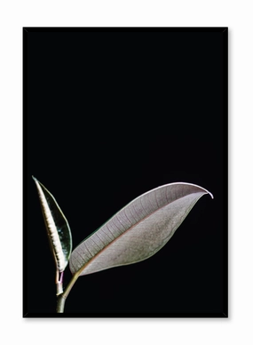Leaf, Posterpop culture themed posters