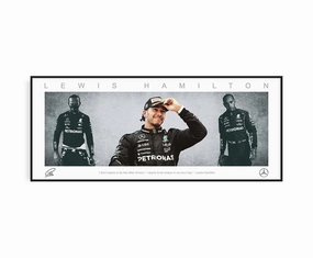 LEWIS HAMILTON PANORAMIC COLLAGE PRINT SIGNED FRAMED WINGShandmade souvenirs