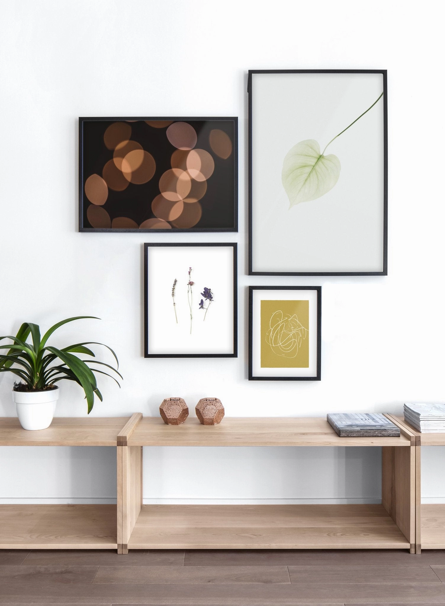 Light Reflections, Poster