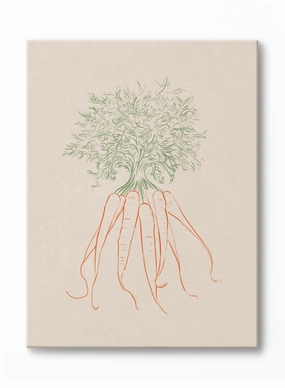 Line Drawn Carrots, Canvasindoor decorative canvas print