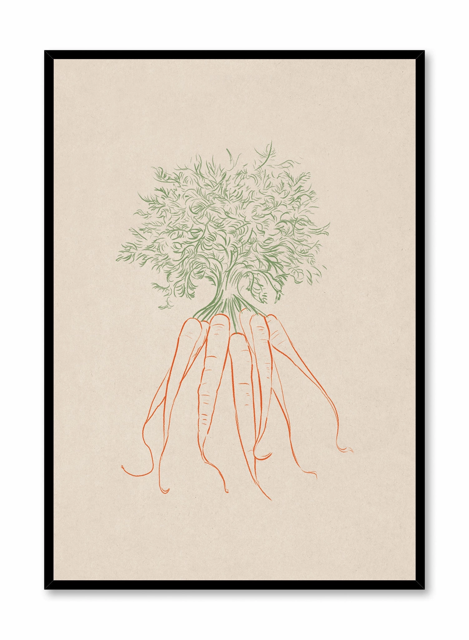 Line Drawn Carrots, Posterpop culture themed posters