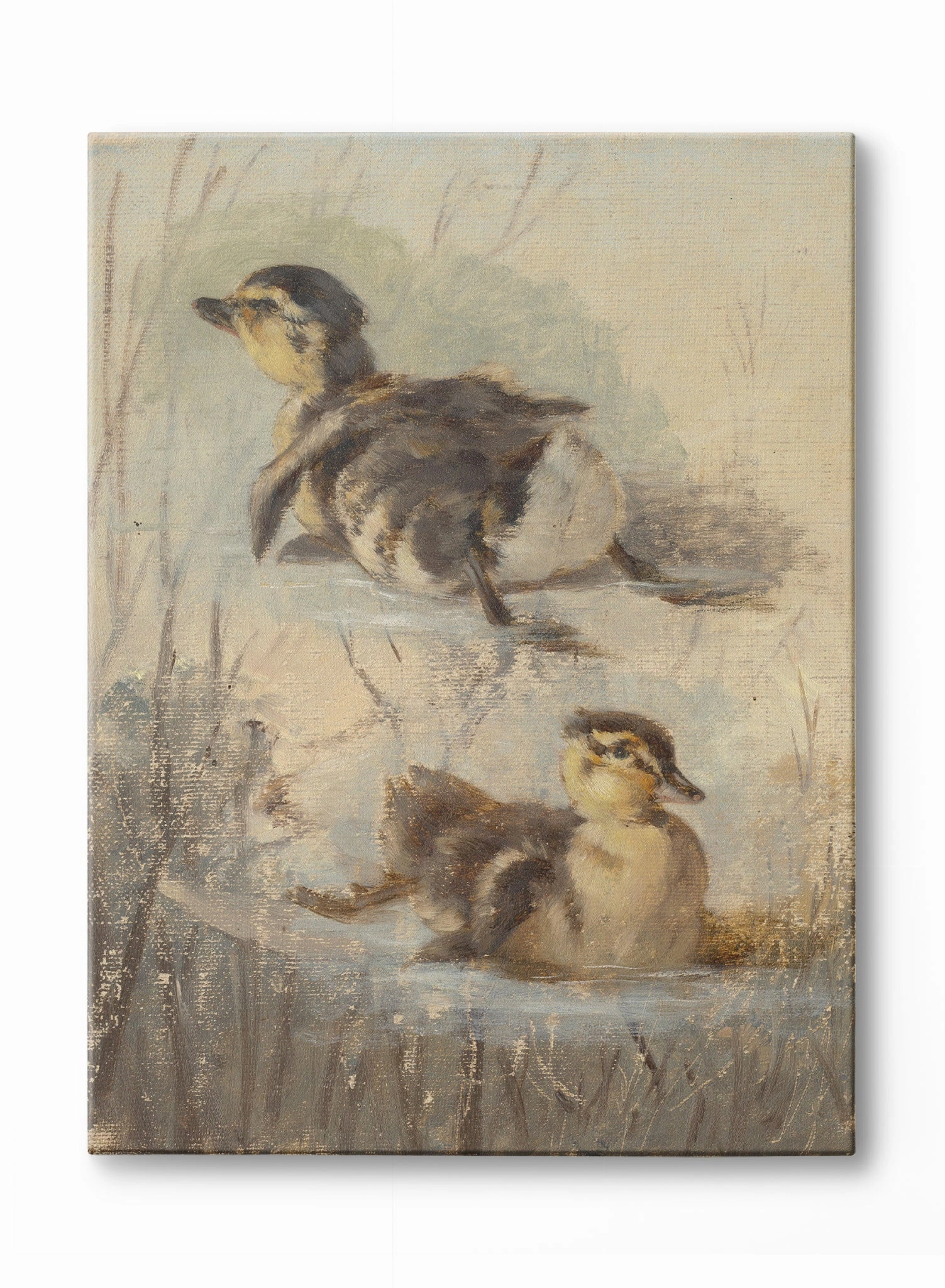 Little Ducklings, Poster