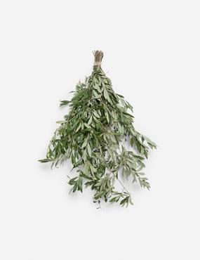 Live Olive Branch Bunch -  -home decor ,wall decor 