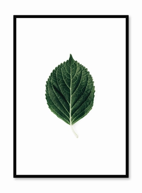 Lone Leaf, Posterpop culture themed posters
