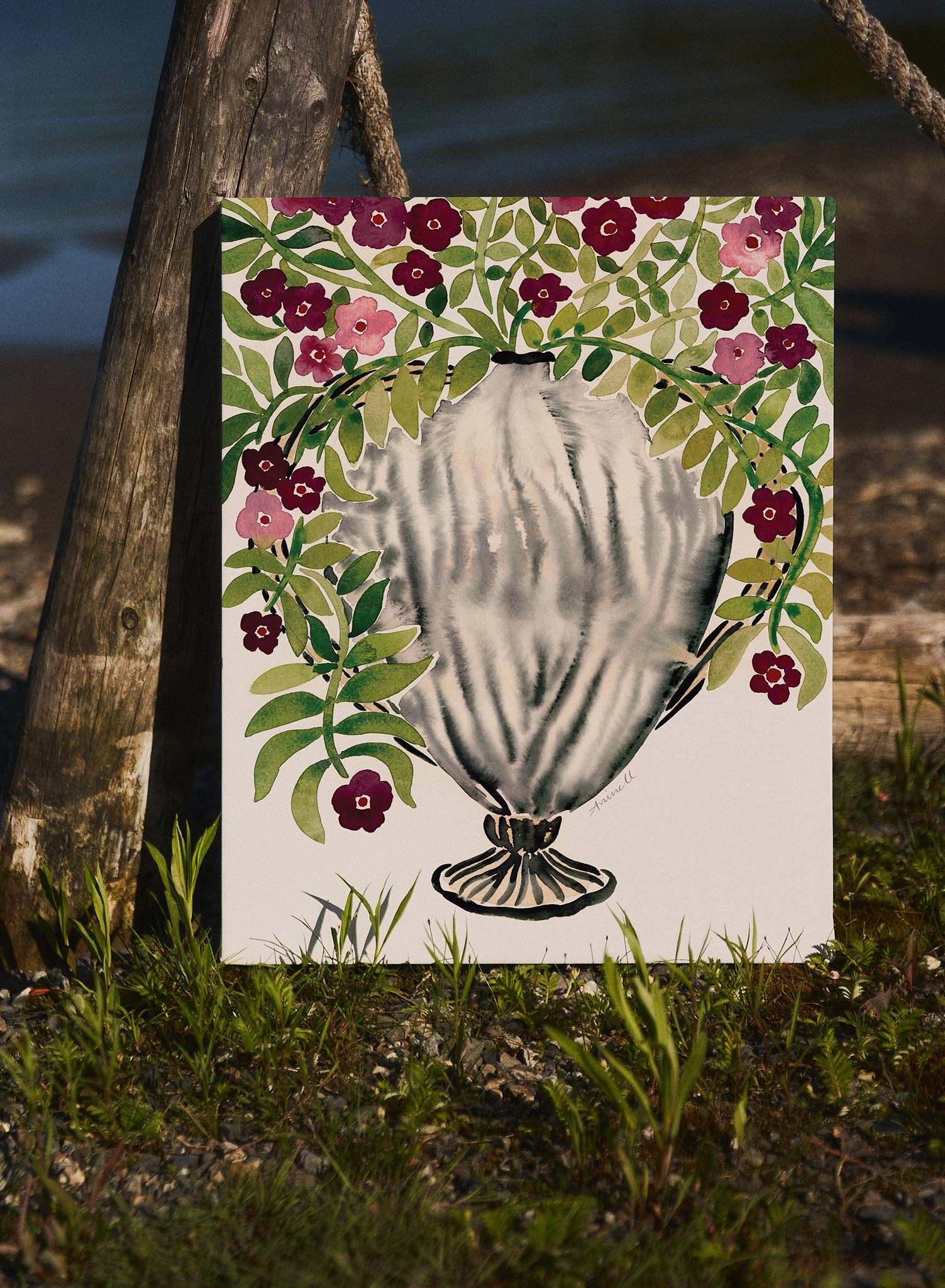 Lunaria, Canvas