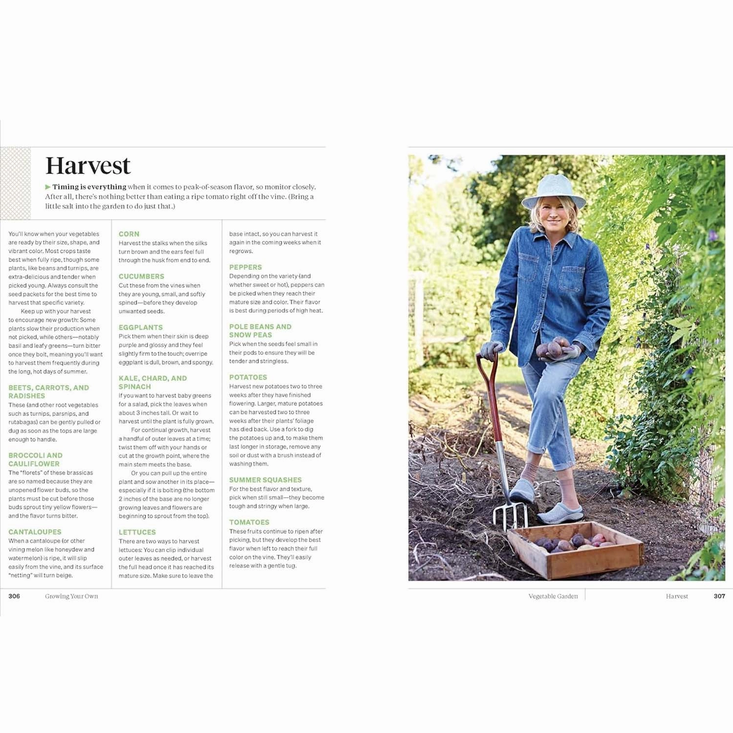 Martha Stewart's Gardening Handbook