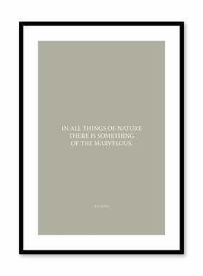 Marvelous Nature, Posterpop culture themed posters