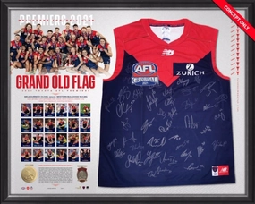 MELBOURNE 2021 PREMIERS TEAM SIGNED GUERNSEYhandmade souvenirs