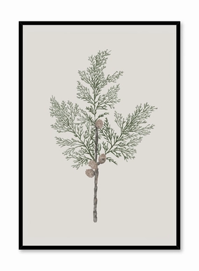 Merry Bough, Posterpop culture themed posters