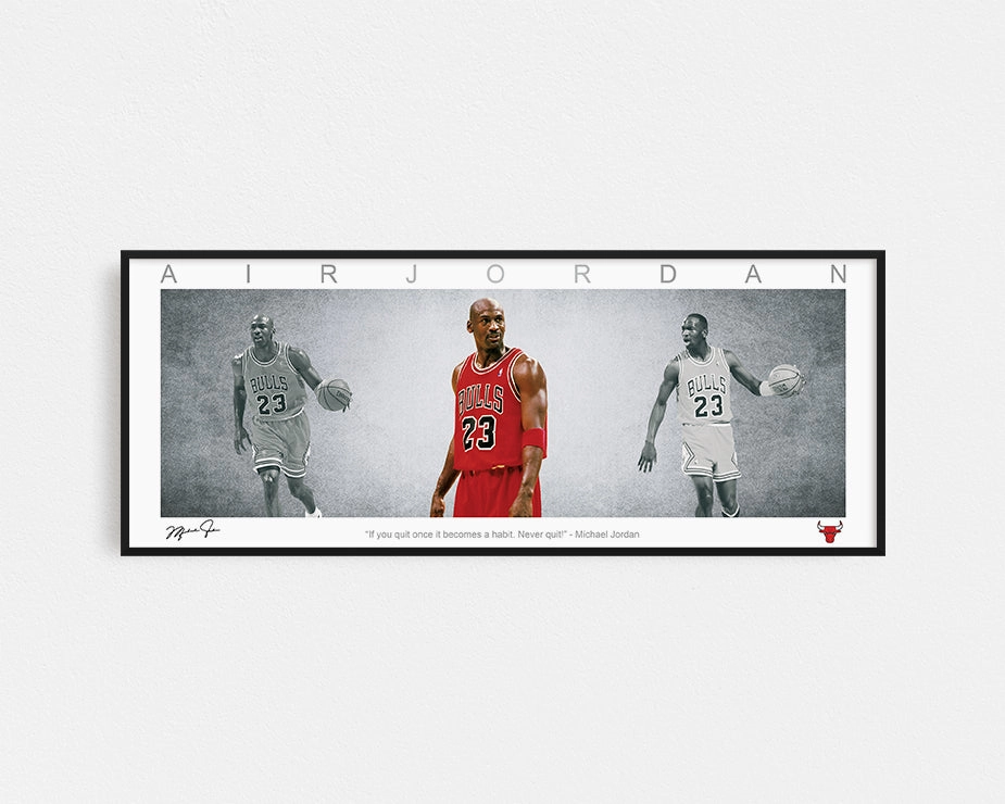 MICHAEL JORDAN PANORAMIC COLLAGE PRINT SIGNED FRAMED WINGShandmade souvenirs