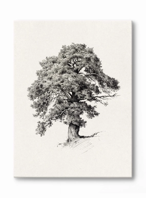 Mighty Tree, Canvasindoor decorative canvas print