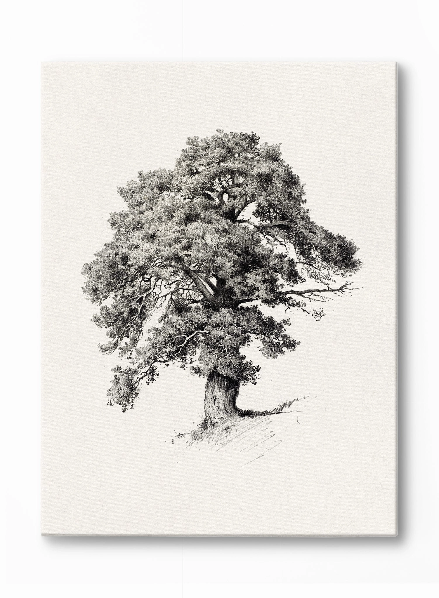 Mighty Tree, Poster
