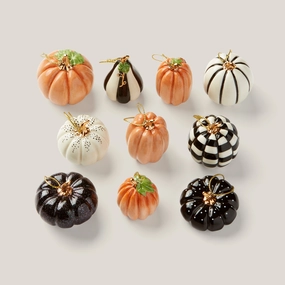 Mini Pumpkin 10-Piece Ornament Sethome decorative items