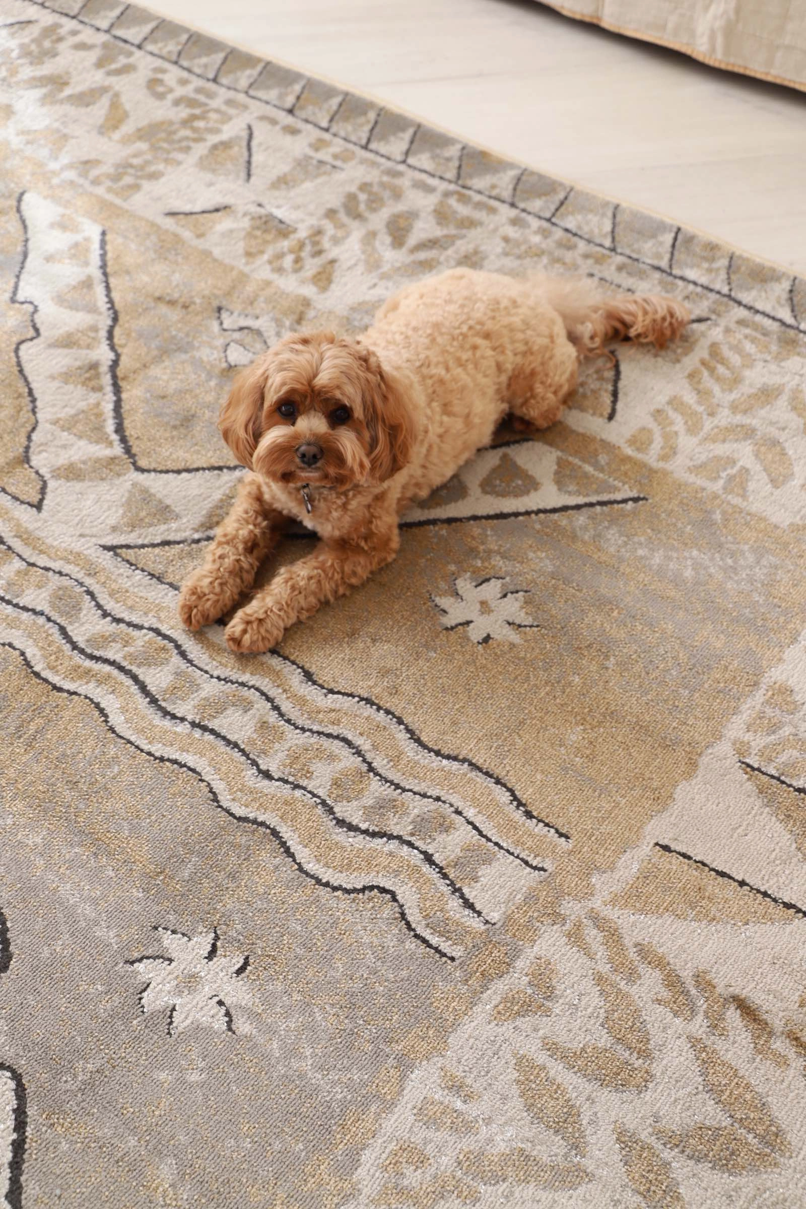Moema Beige And Grey Transitional Tribal Rug *NO RETURNS UNLESS FAULTY