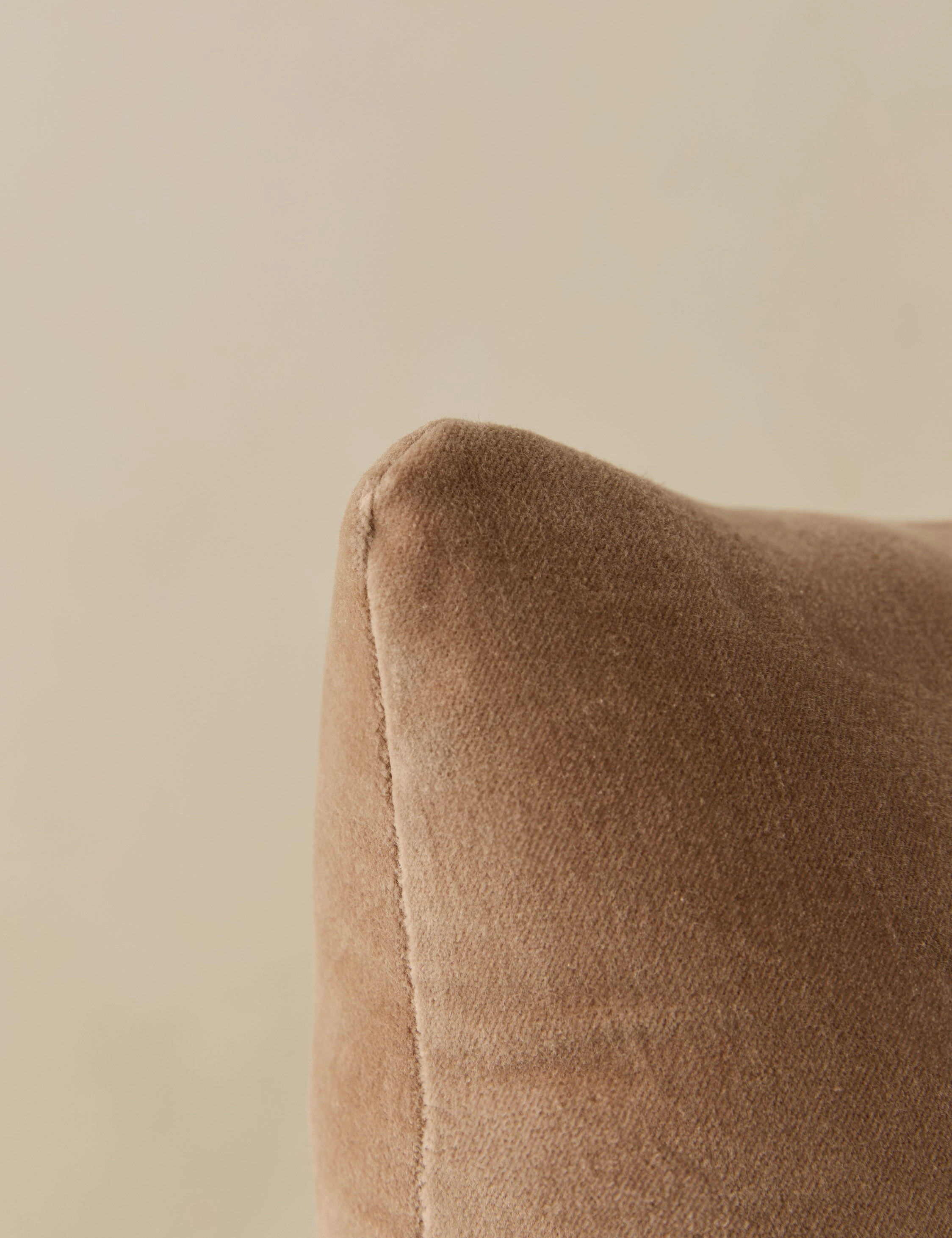 Monroe Velvet Pillow