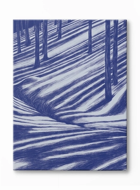 Moonbeam Hike, Canvasindoor decorative canvas print