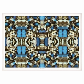 Morpho Emperor Peleidesnordic style wall decor