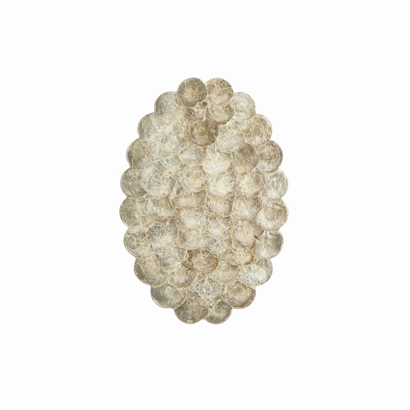 Mother of Pearl Placemats