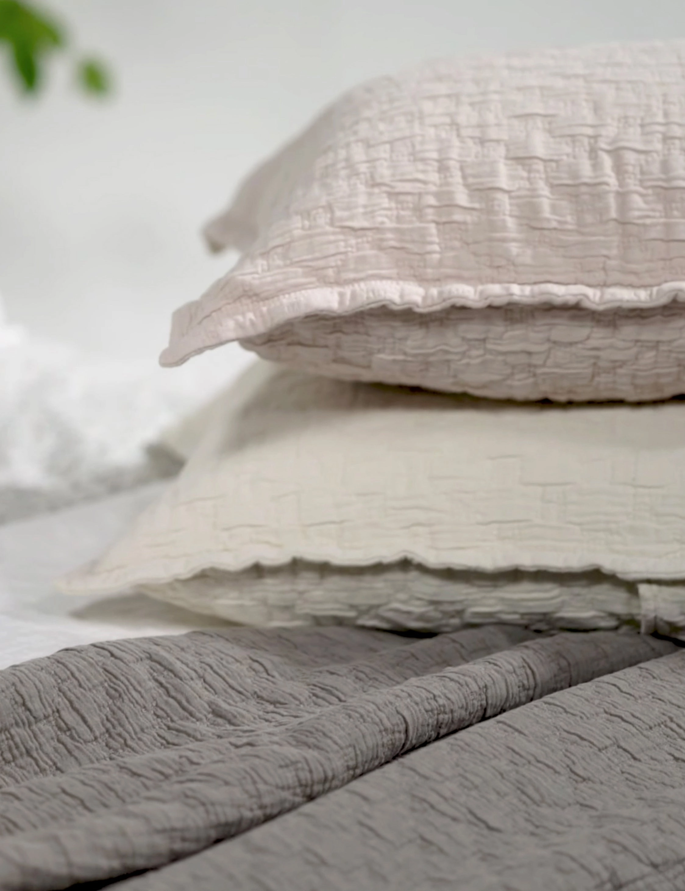 Ojai Cotton Matelasse Euro Sham by Pom Pom at Home
