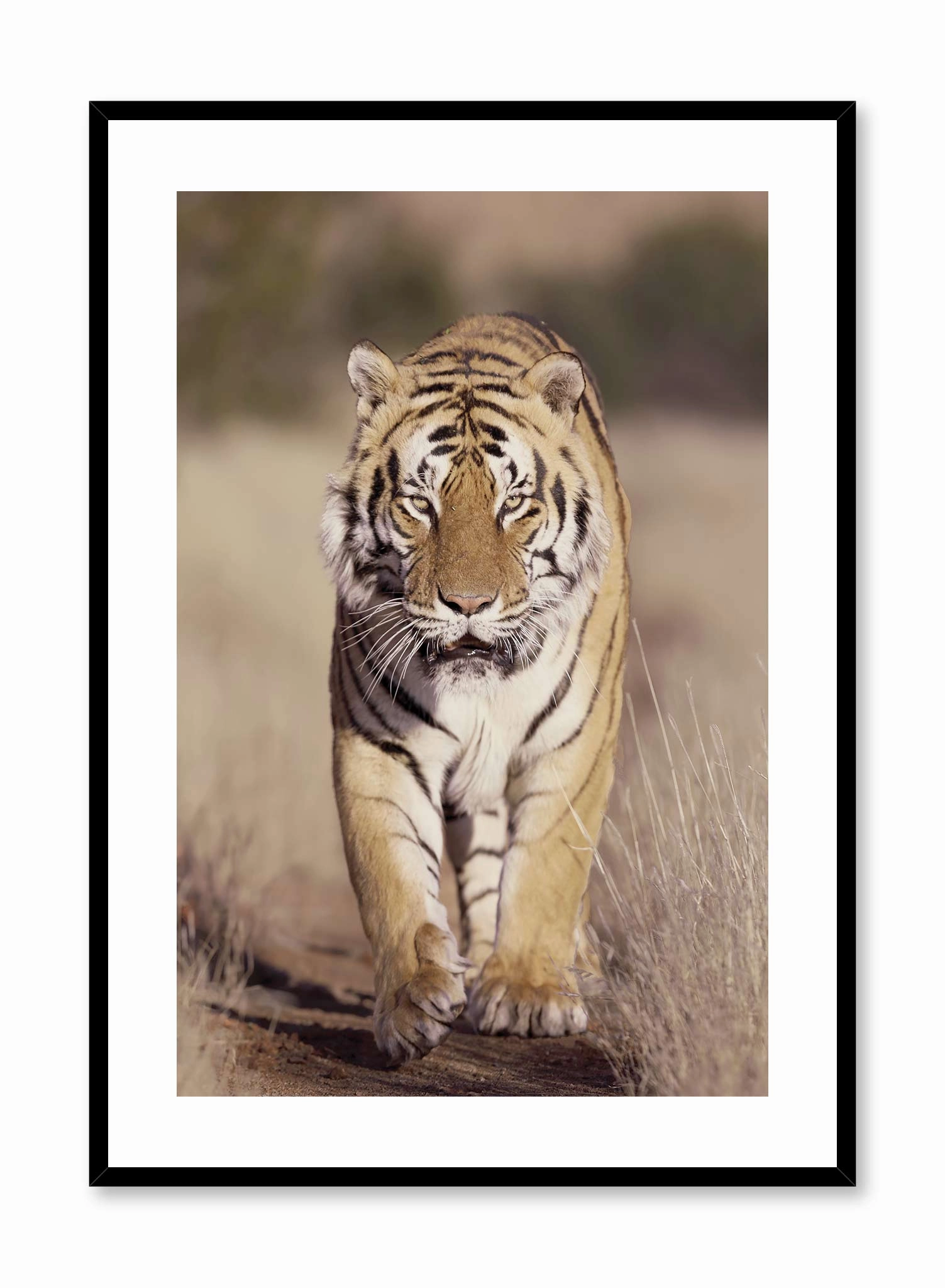 On the Prowl, Posterpop culture themed posters