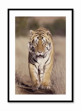 On the Prowl, Posterpop culture themed posters