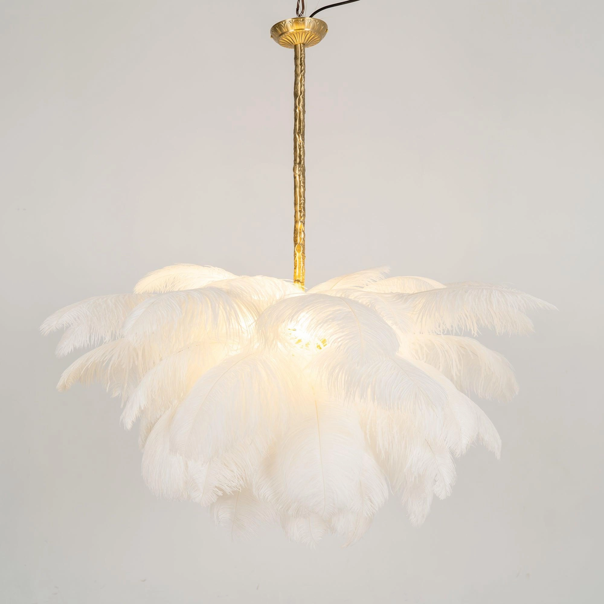 Ostrich Feather Chandelier