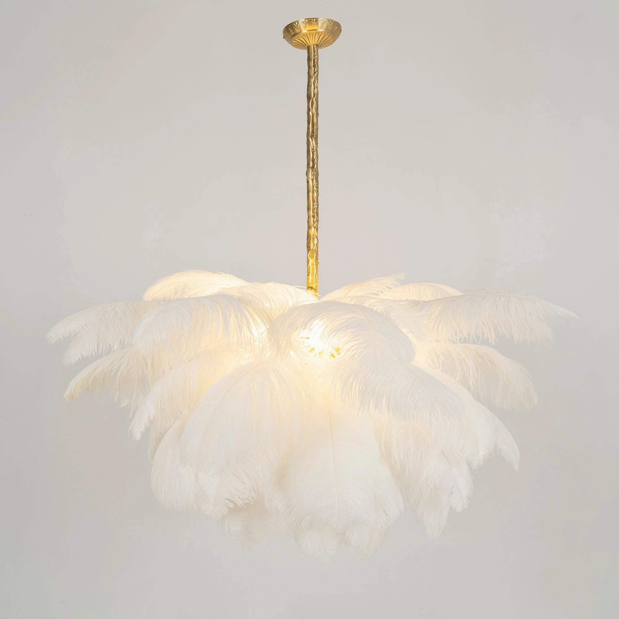 Ostrich Feather Chandelier