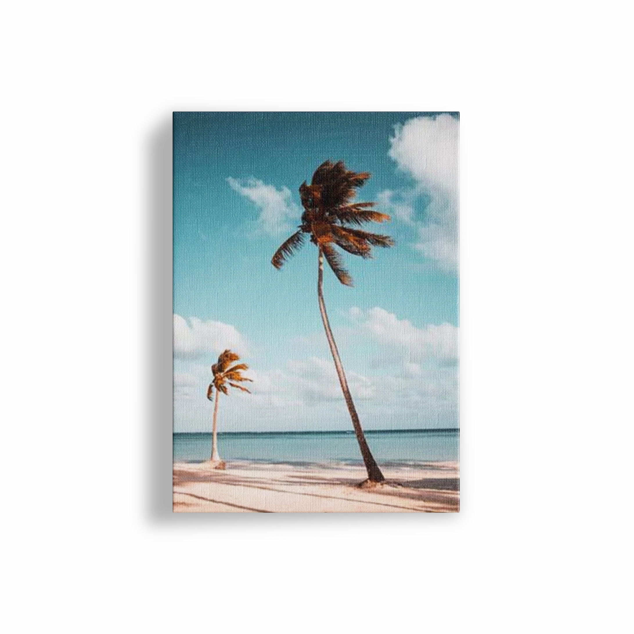 Palm Breeze