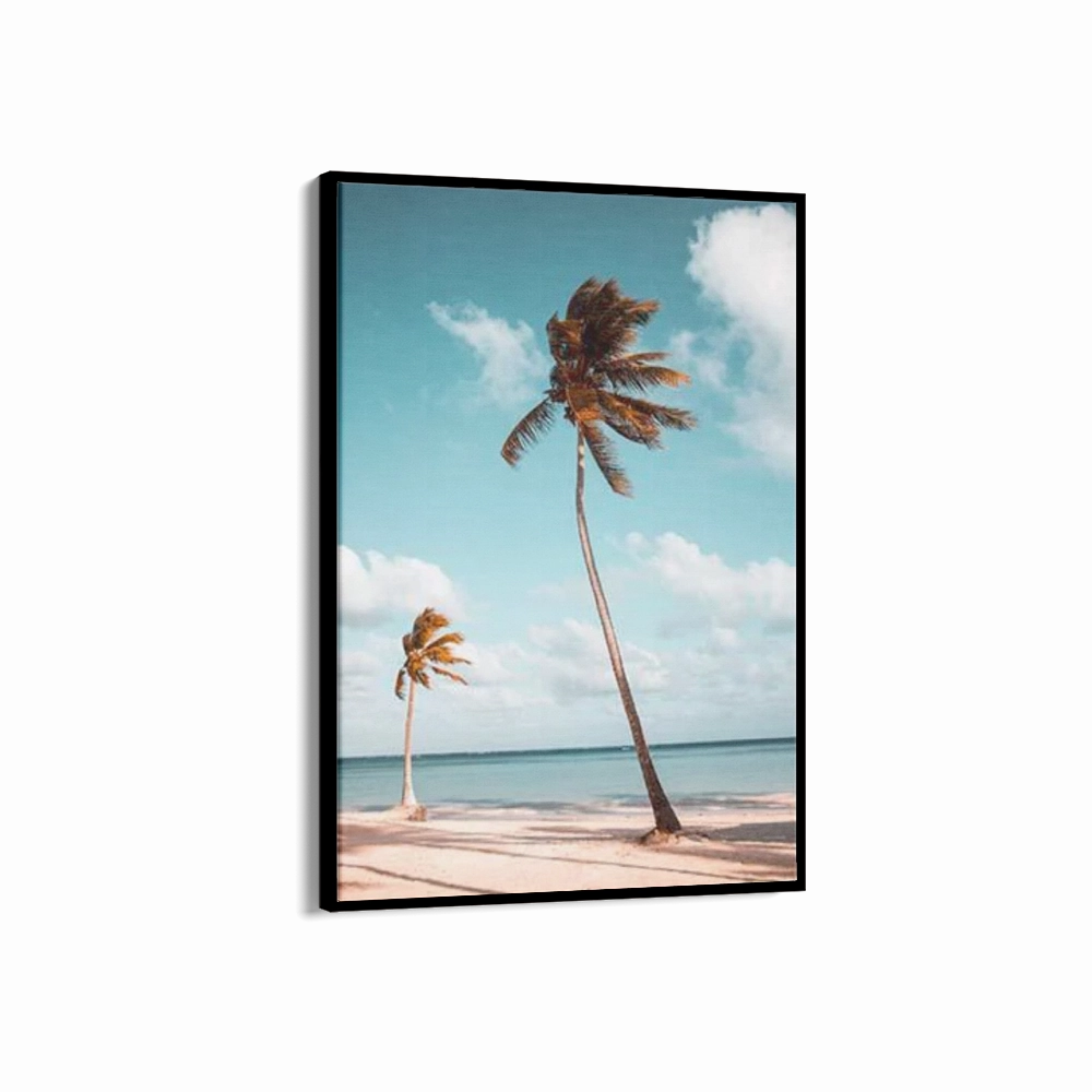 Palm Breeze