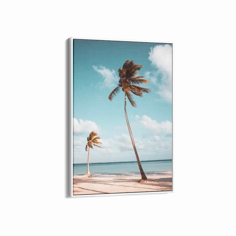 Palm Breeze