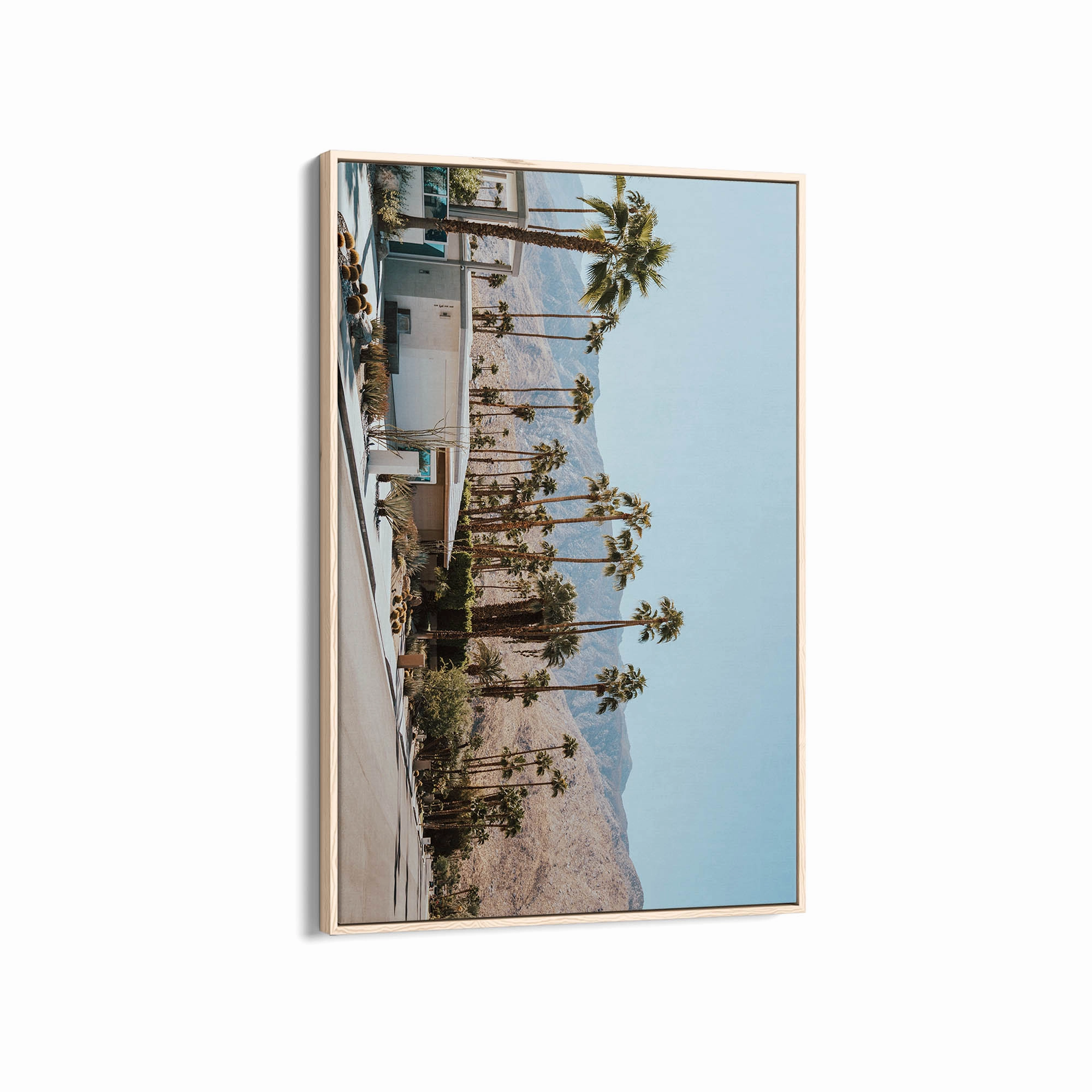 Palm Summer 3