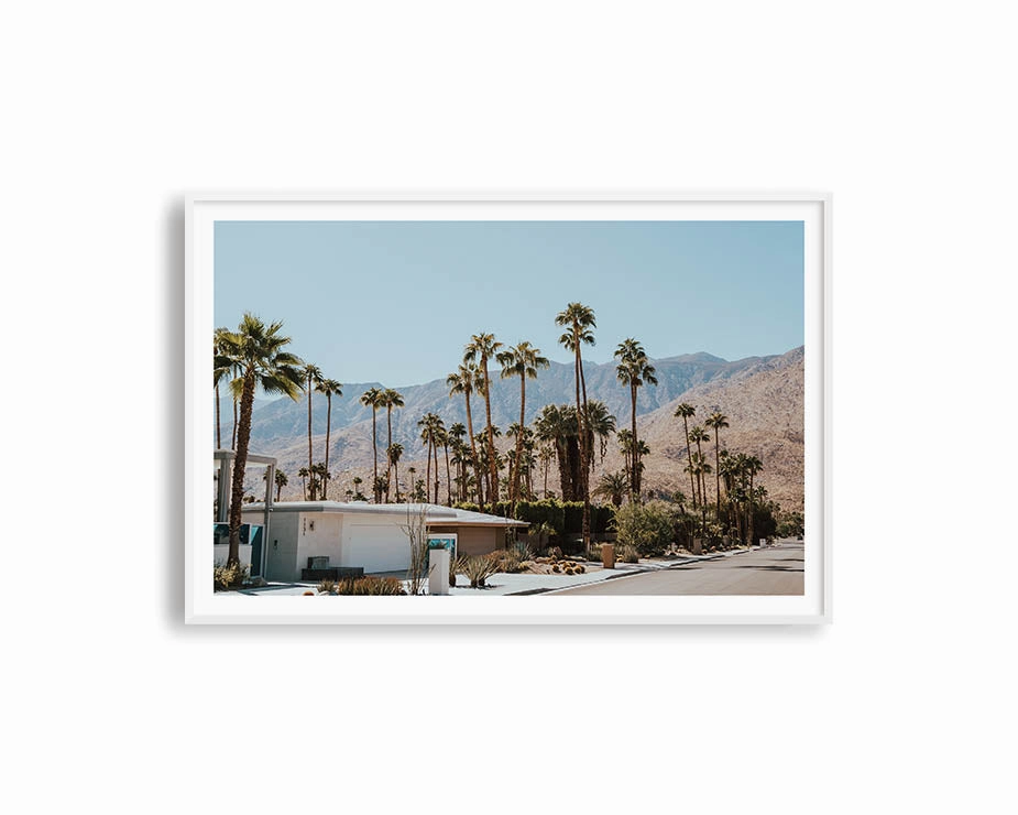 Palm Summer 3