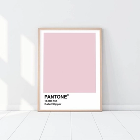 Pantone - Ballet Slippernordic style wall decor