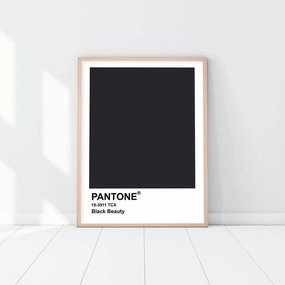 Pantone - Black Beautynordic style wall decor