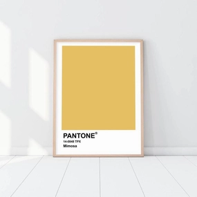 Pantone - Mimosanordic style wall decor