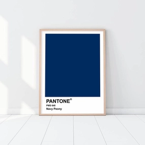 Pantone - Navy Peonynordic style wall decor