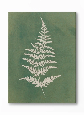 Papercut Wood Fern, Canvasindoor decorative canvas print