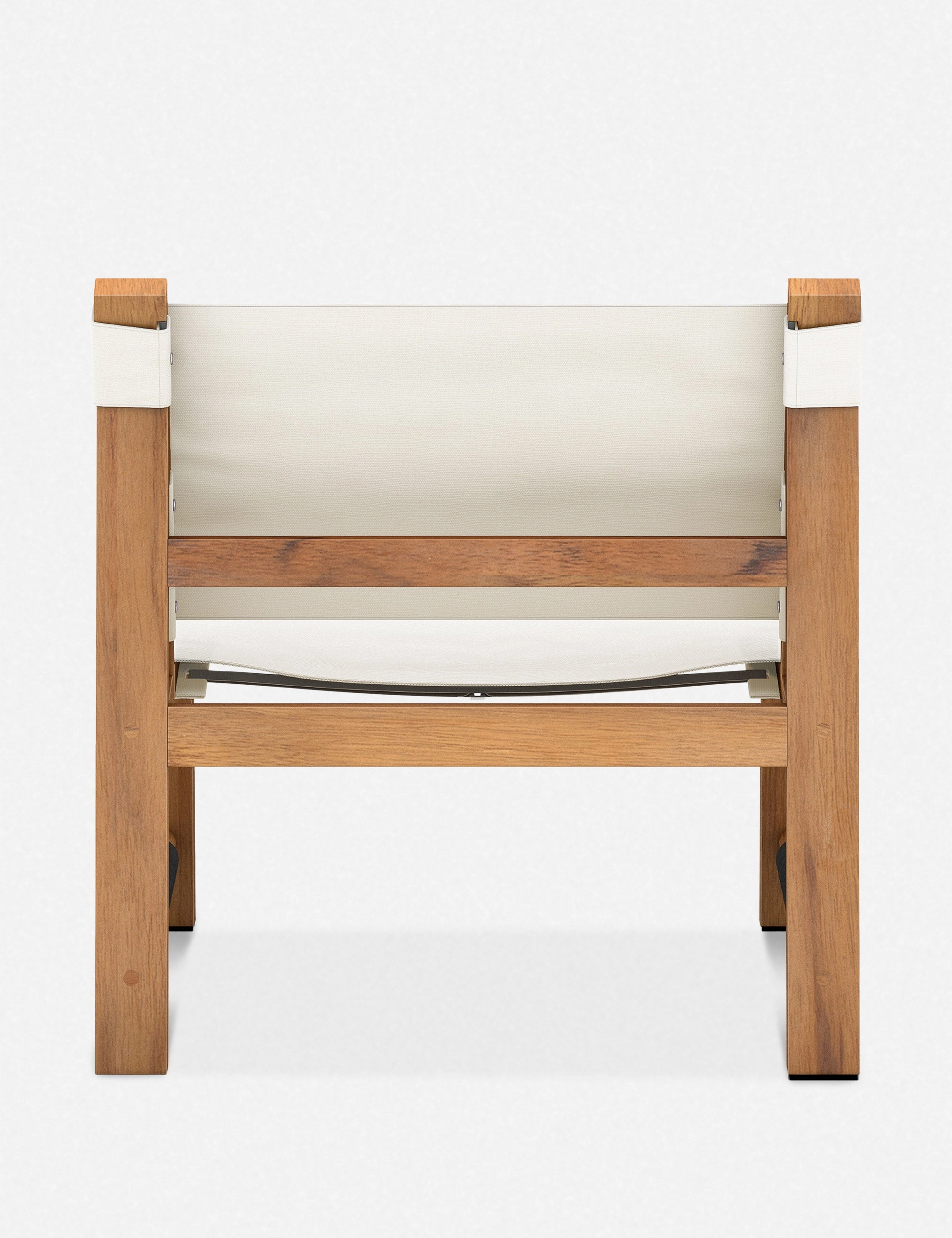 Paulette Indoor / Outdoor Accent Chair