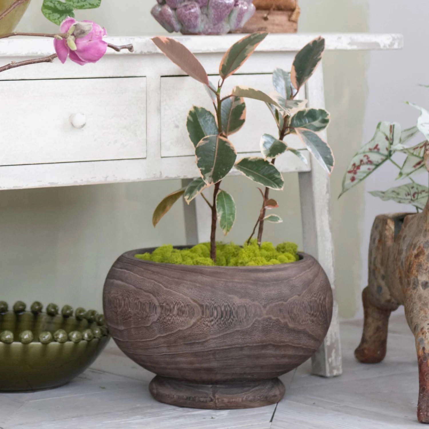 Paulownia Wood Planter, Stained Finish - 14" Wide
