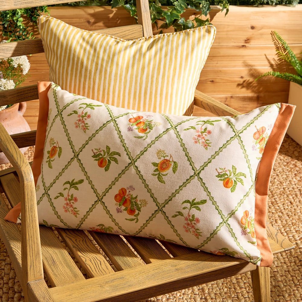 Peach Trellis Printed Outdoor Cushion Orangehome decor ,wall decor 