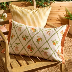 Peach Trellis Printed Outdoor Cushion Orangehome decor ,wall decor 